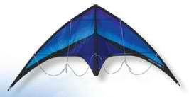 Addiction Cool Sport Kite by Premier Kites