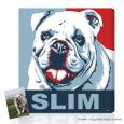 Personalized Gifts for Pet Lovers - Custom portraits from your pet photos
