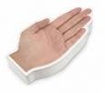 Talk to the Hand Stick Notes