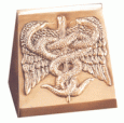 Medical Caduceus Bookends