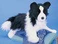 Chase Floppy Plush Border Collie Dog by Douglas