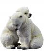 Polar Bear Cubs