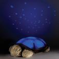 The Constellation Turtle Night Light