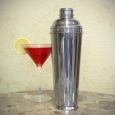 Kingston Timeless Cocktail Shaker