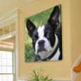 Personalized Gifts for Pet Lovers - Trendy canvas portraits from your photos
