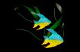 Painted Angel Fish Wall Hanging