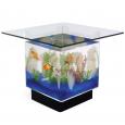 The Aquarium End Table