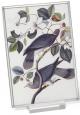 Band-tailed Pigeon Museum Art Glass