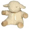 The Infant's Sleep Sound Lamb