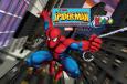 Spiderman Photo Personalized DVD