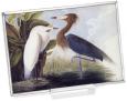 Reddish Egret Museum Art Glass