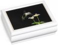 "Hummingbird" Music Box - "Swan Lake" Tune