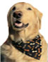 Abc Petwear - Dog Scarves, Pet Gifts